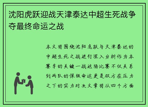 沈阳虎跃迎战天津泰达中超生死战争夺最终命运之战