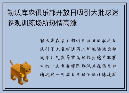 勒沃库森俱乐部开放日吸引大批球迷参观训练场所热情高涨