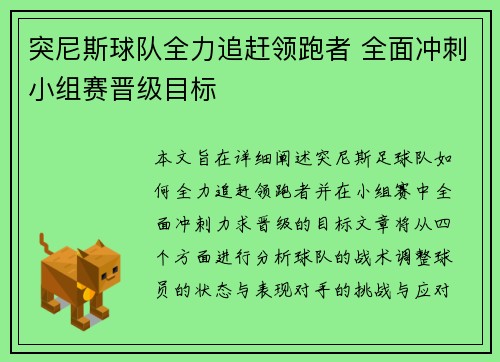 突尼斯球队全力追赶领跑者 全面冲刺小组赛晋级目标