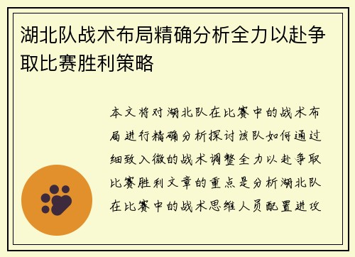湖北队战术布局精确分析全力以赴争取比赛胜利策略