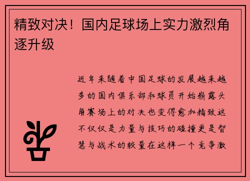 精致对决！国内足球场上实力激烈角逐升级