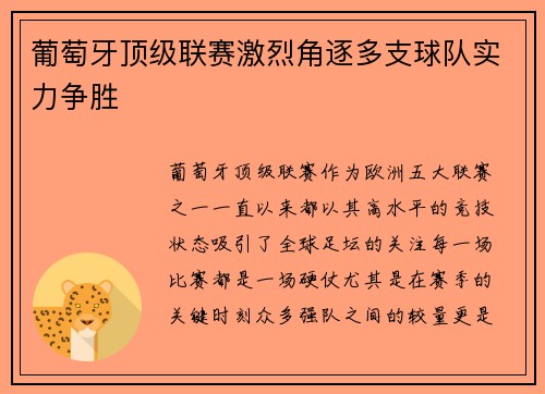 葡萄牙顶级联赛激烈角逐多支球队实力争胜